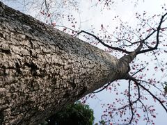 -晓港公园