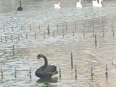 -蓬莱欧乐堡梦幻世界