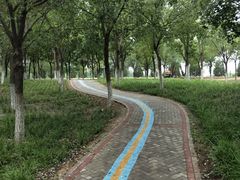 -永定河休闲森林公园