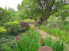 -浙江西子宾馆·瑶园咖啡厅