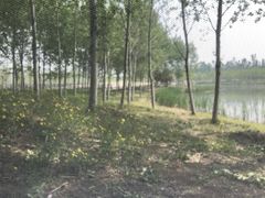 -东郊湿地公园