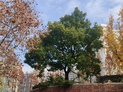 -海底捞火锅(海宁路店)