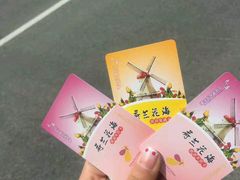 -荷兰花海