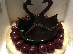 -BLACKSWAN黑天鹅(环球店)