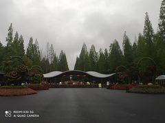 -东平国家森林公园