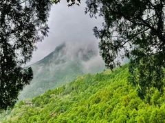 -佛慧山