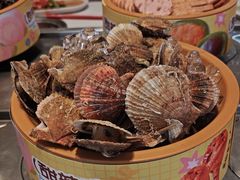 -龍歌自助小火锅(李沧丽达店)