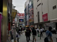 -Animate(秋叶原本馆)