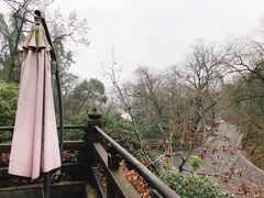 -龙井壹号·茶缘山景宴(龙井村店)