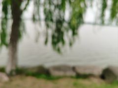 -东湖落雁景区