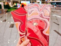 -LV路易威登(大兴国际机场店)