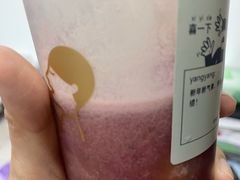 多肉葡萄-喜茶(天津乐宾百货店)