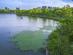 -昆山城市生态森林公园