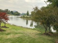 -同济大学(嘉定校区)