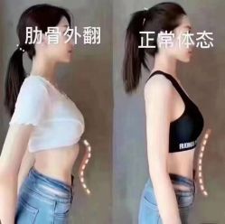 -玛莲朵·海菲秀冰珀科