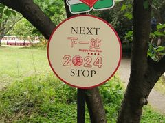 -上海共青森林公园