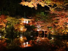 -醍醐寺