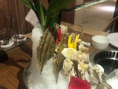 -尚海豆捞(乐虹坊店)