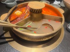 -大渝火锅(百乐广场店)