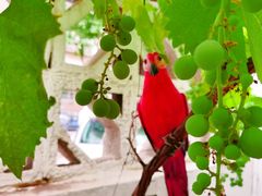 -新兴园饺子馆(北京百子湾店)