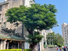 -汕头市小公园