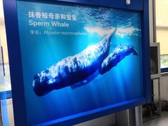 -上海海洋大学鱼文化博物馆(军工路校区)