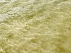 -西涌国际滨海旅游区