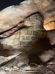 -翱翔飞越地平线