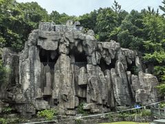 -老味道1992(武当山店)