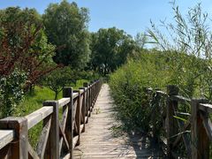 -野鸭湖国家湿地公园