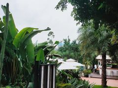 -三圣花乡旅游区