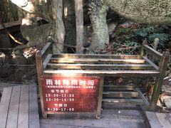-青青世界