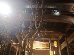 -普洱茶府(博乐广场店)