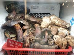 -太婆天府山珍酒楼(亚运村店)