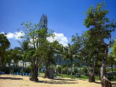 -大梅沙海滨公园