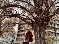 -北京石刻艺术博物馆(五塔寺)