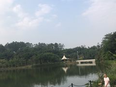 -南国桃园旅游度假区