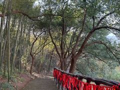 -绍兴汤江岩风景区