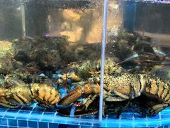 -蓝珊甄选海鲜自助·火锅大排档(近阿那亚店)