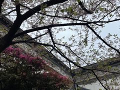 -胡雪岩故居