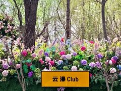 -沂蒙云瀑洞天景区