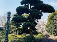 -上海皇廷花园酒店·西餐厅·自助餐