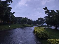 -飞来湖湿地公园