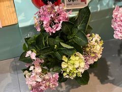 -盒马鲜生(宝地店)