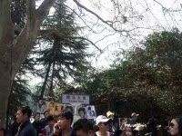 -武汉大学-樱园