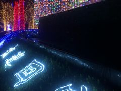 -棕榈MALL
