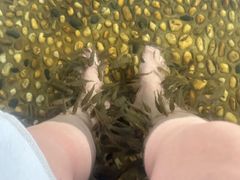 -融汇温泉