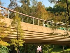 -云溪植物园