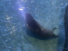 -锦艺城海洋馆