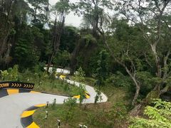 -圣淘沙天际线斜坡滑车